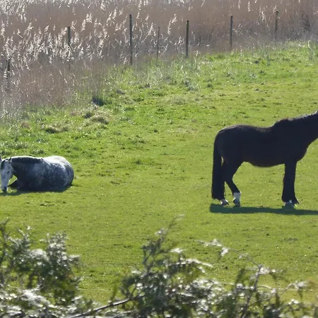 Apartament Casa Carina Ferienhaus, Oberwohnung Mit Kleinem Sonnenbalkon Und Terrasse Schweiburg